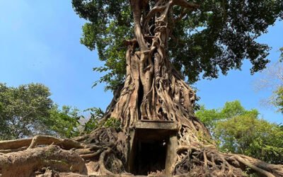 3 DAYS TOUR BOENG MELEA TEMPLE AND ROLUOS GROUP TEMPLES